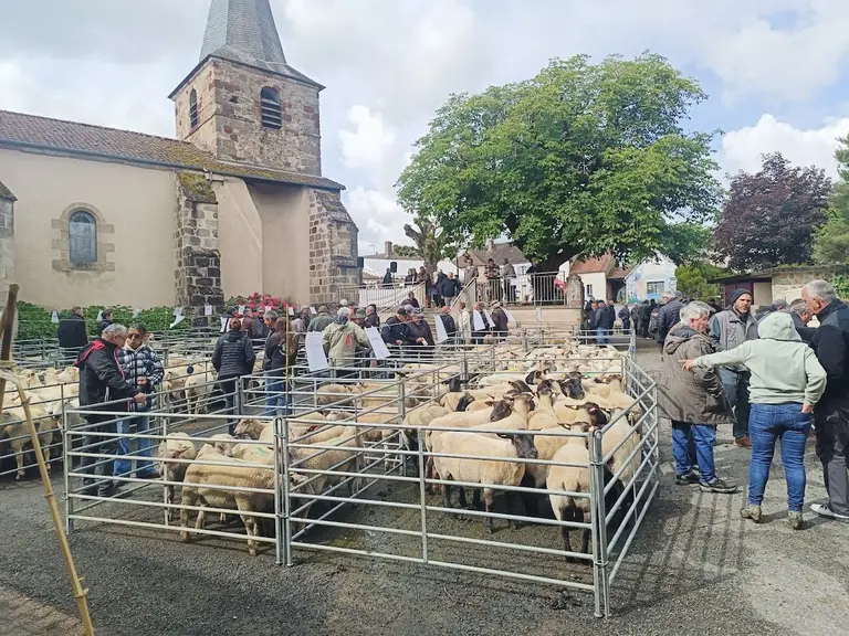 vue d'ensemble foire ovine Louroux-Hodement 2026