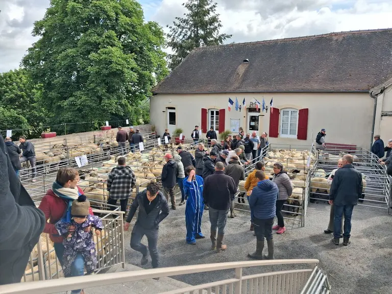 vue d'ensemble foire ovine Louroux-Hodement 2026