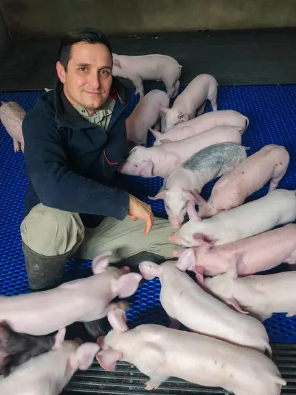 éleveur avec des cochons.