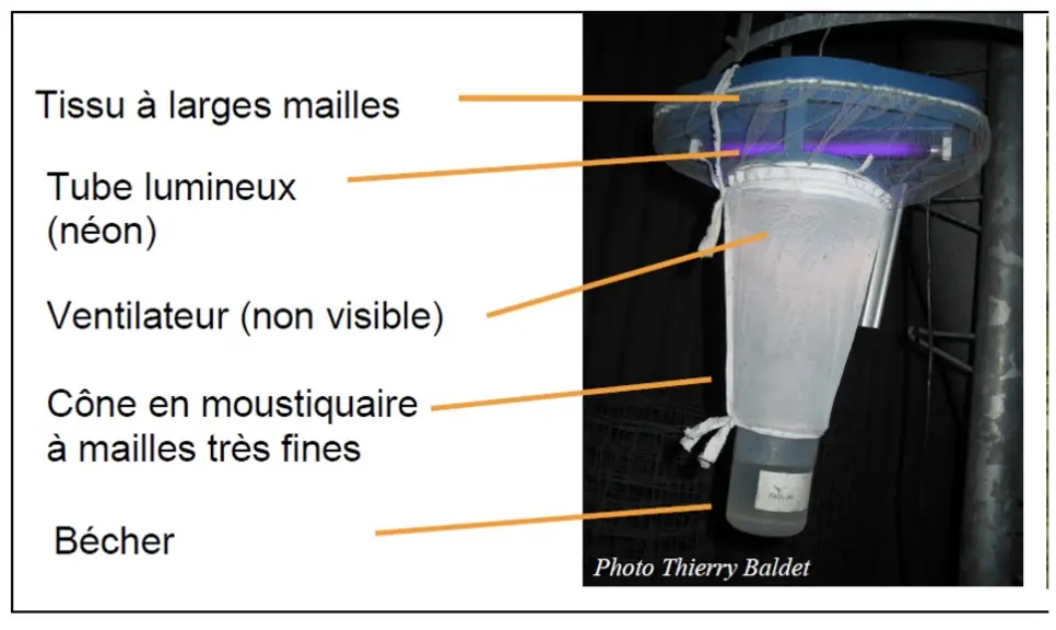 Piège à culicoïdes