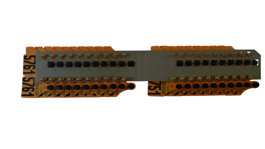 MSD Santé Animale - ALLFLEX EUROPE SAS - Conditionnement sur cartonnette pour boucles officielles bovines.