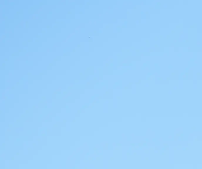 Estive Monts du Forez.