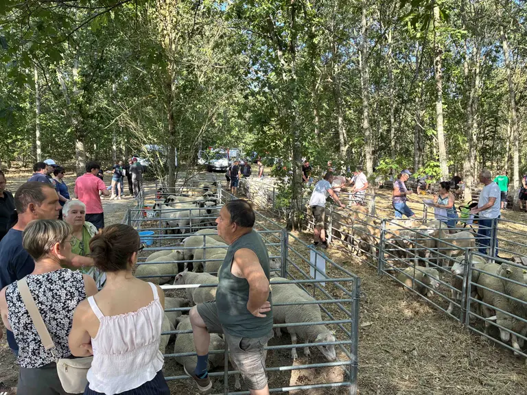 Foire de Neuvy 2026