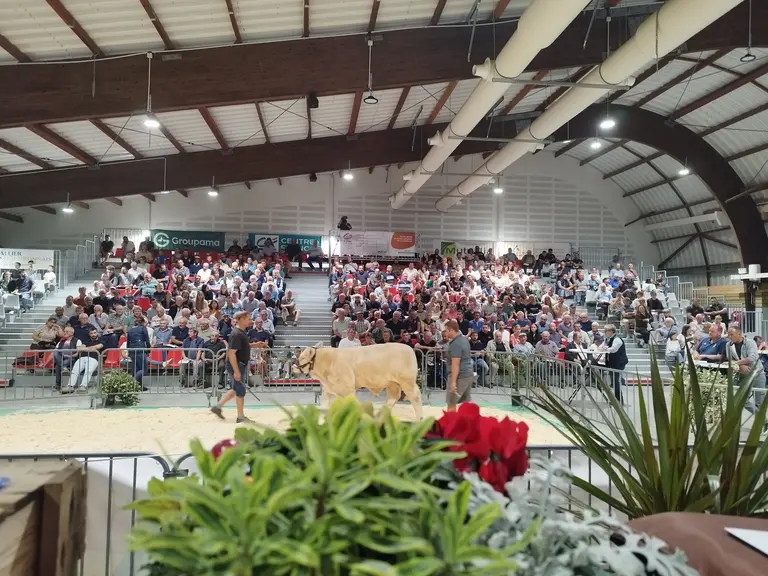48e vente aux enchères Alsoni