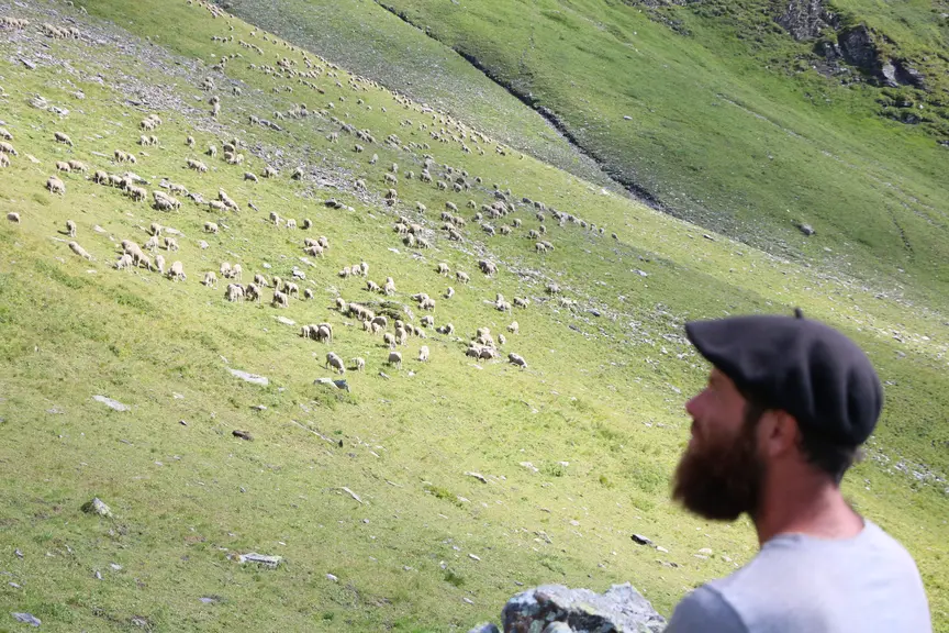 Boussion, berger dans les Alpes