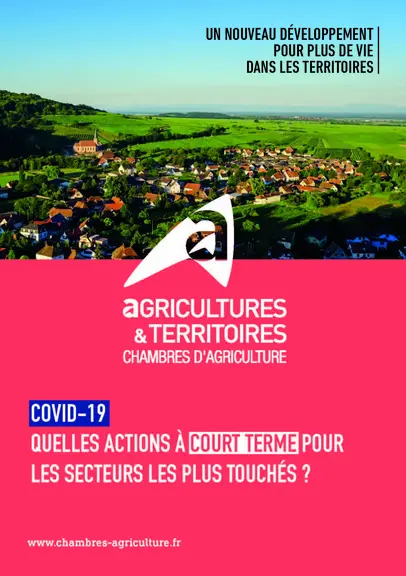 Covid-19 - Quelles actions à court terme pour les secteurs les plus touchés ?