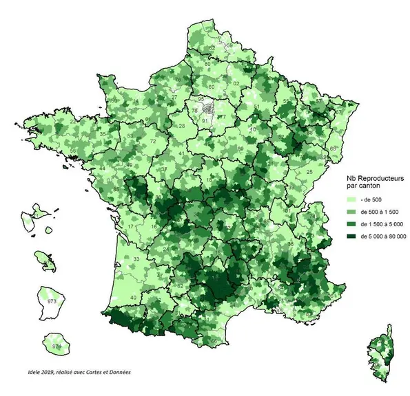Localisation des 5 590 000 reproducteurs ovins © Idele
