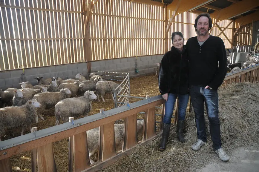Les bergeries sont équipées de couloirs d’alimentation surélevés et cornadis. © A. Villette