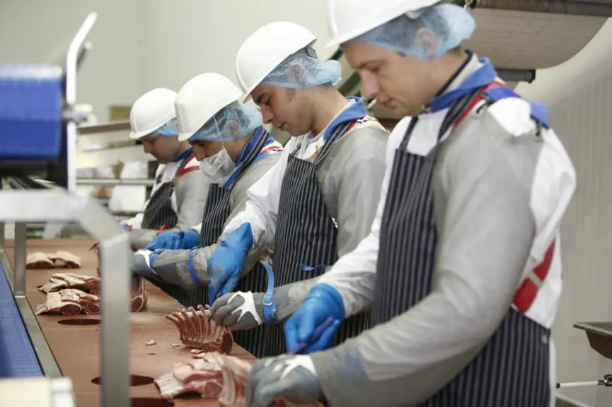 Plus de 60 % des exportations irlandaises d’agneau sont faites sous forme de découpe. © Irish Country Meats