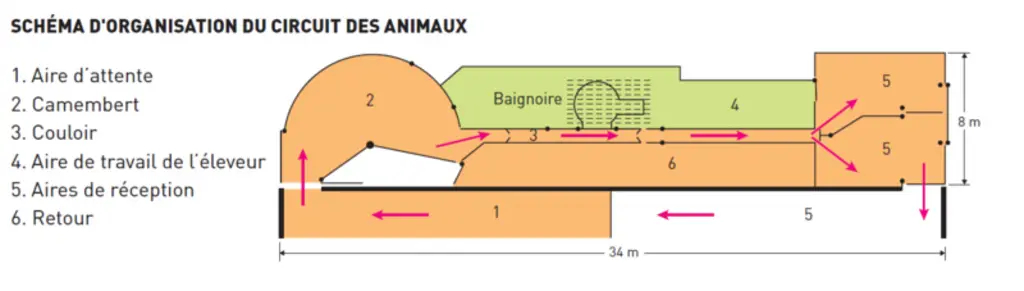Schéma d'organisation du circuit des animauxUn parc de contention est généralement composé de six surfaces  © Ciirpo