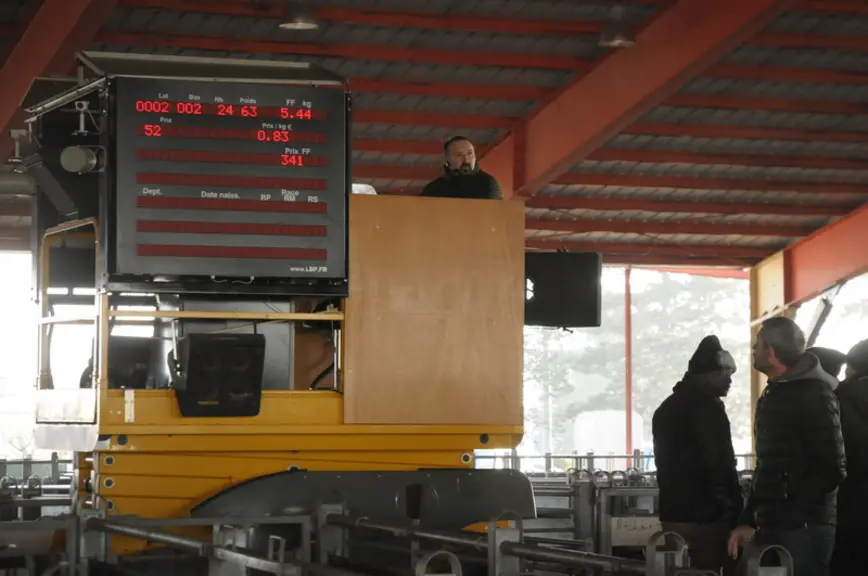 Samuel Bionda, chef des ventes , dirige les enchères perché sur sa nacelle mobile. © M.-A. Batut