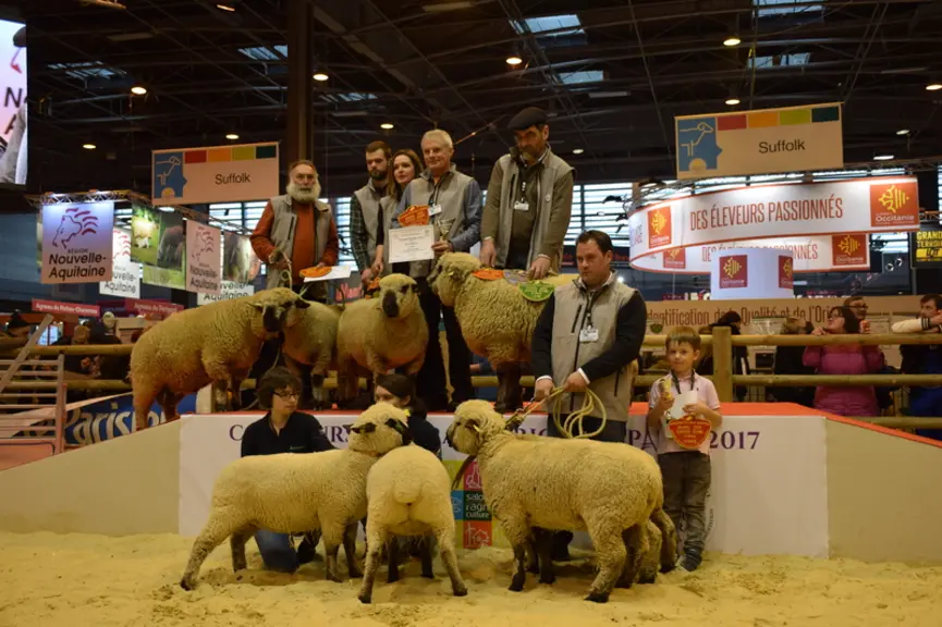 Les éleveurs des plus beaux spécimens de chacune des 17 races en concours ont été récompensés sur le ring ovin. © D. Hardy