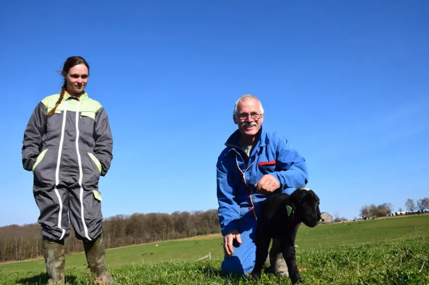 Dans les Ardennes belges, Pierre et Wendy Pirson apprécient cette race maternelle, facile à vivre et résistante au climat rude. © D.Hardy