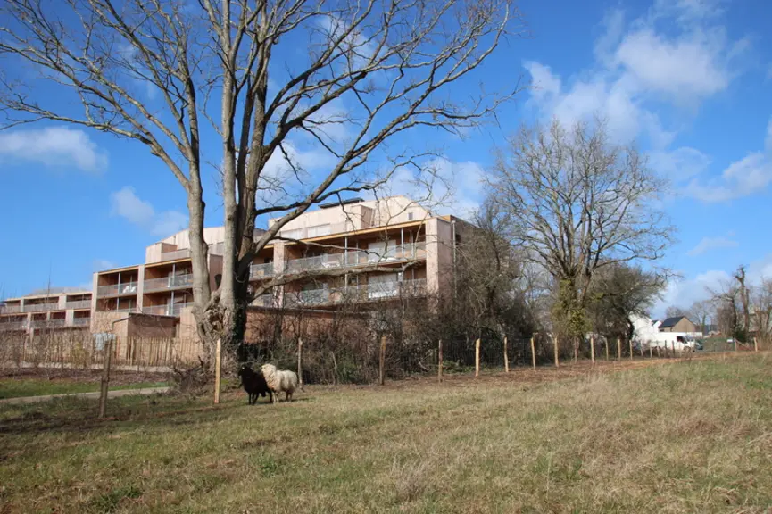 Les brebis pâturent par exemple sur le site de communes comme ici dans la ville d'Orvault (44). © DR