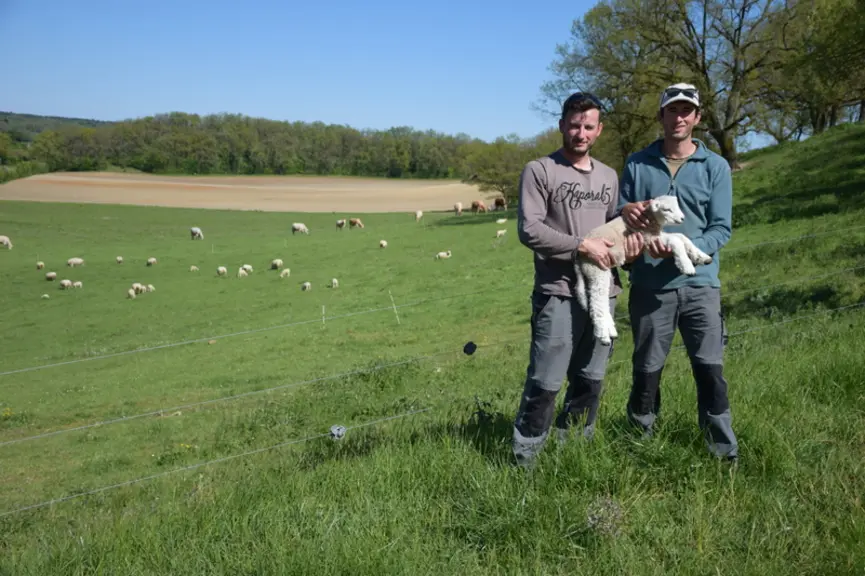 Jérôme et Joël Mandavy ont découpé leur parcellaire en une soixantaine de paddocks de 0,7 à 0,8 hectare. © D. Hardy