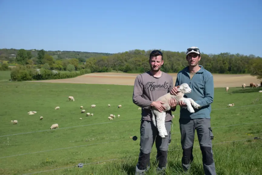 Jérôme et Joël Mandavy ont découpé leur parcellaire en une soixantaine de paddocks de 0,7 à 0,8 hectare. © D. Hardy