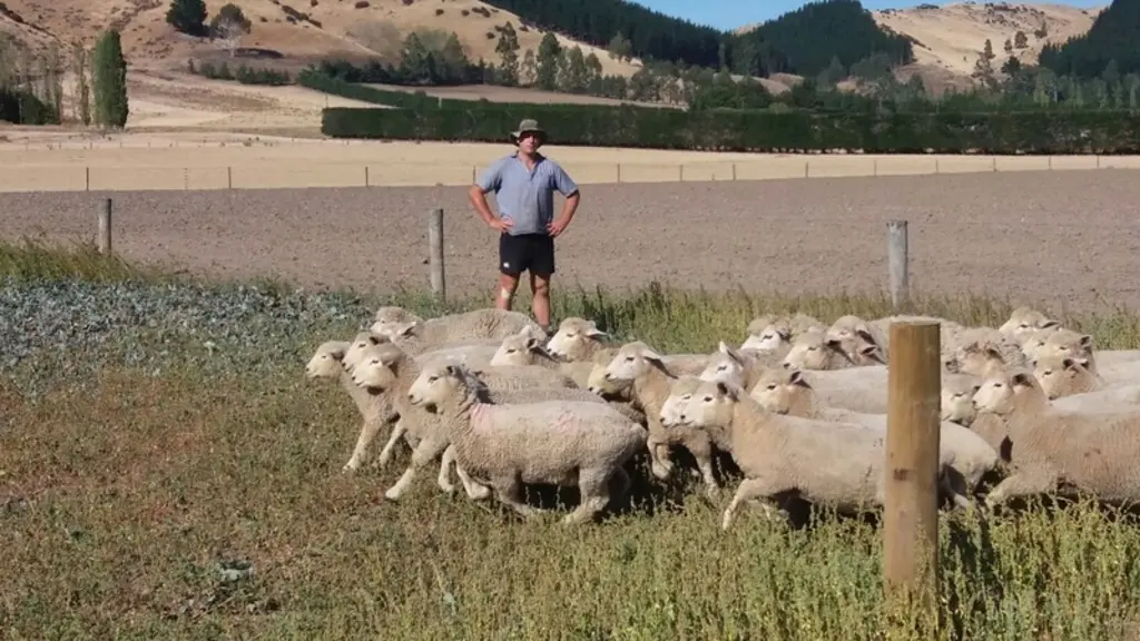 Avec son quad et son chien, Michael Barton parcourent les 309 hectares de ses deux exploitations. © DR
