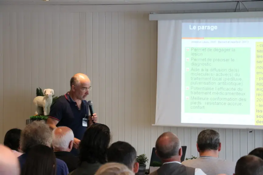 Pierre Autef : "Il faut réaliser une diagnostic différentiel pour bien établir des cas de piétin". © Longimpex