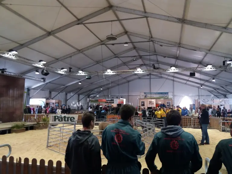 Les lycéens de Brioude-Bonnefont (Haute-Loire) ont aidé aux animations du ring ovin. © B. Morel