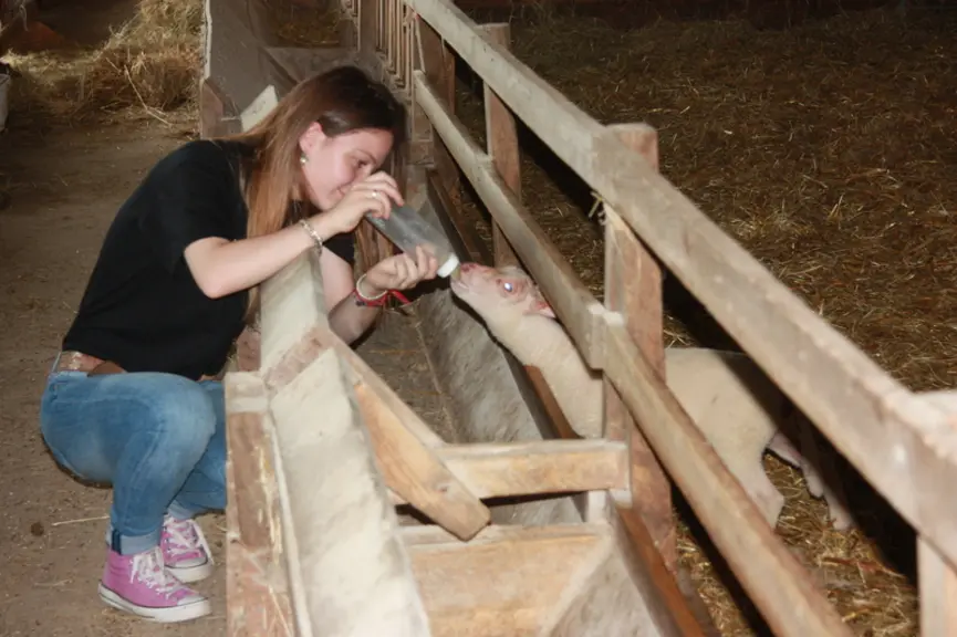 Les visiteurs ont  apprécier de pouvoir découvrir le métier d'éleveur. © M.-A. Batut