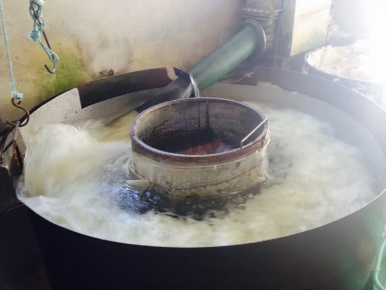 Le lavage de la laine demande une grande quantité d’eau non dure. Ici à la filature de Niaux en Ariège. © dr
