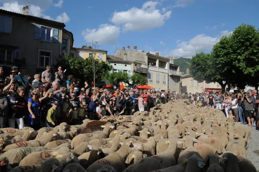 Animateurs de la vie locale, les éleveurs ovins contribuent à préserver un patrimoine culturel et historique riche. © A. Villette