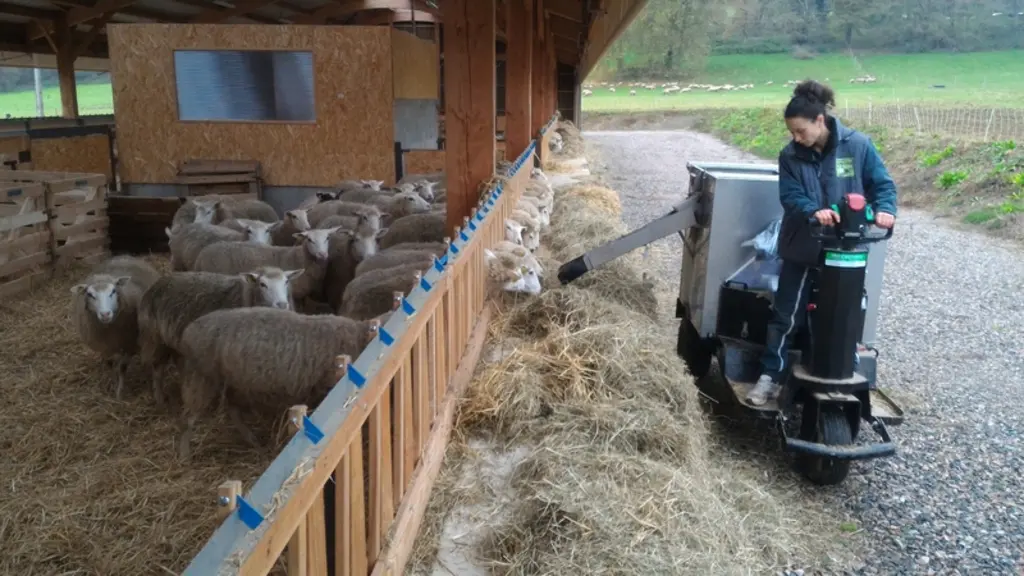 La bâche est remontée pour l’alimentation ou le paillage et en fonction des conditions climatiques. © Ciirpo