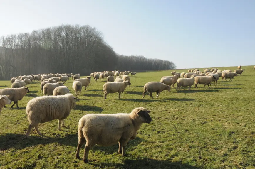 Les systèmes agricoles de demain devront être coconstruits avec la société pour présentables  aux citoyens.  © A. Villette