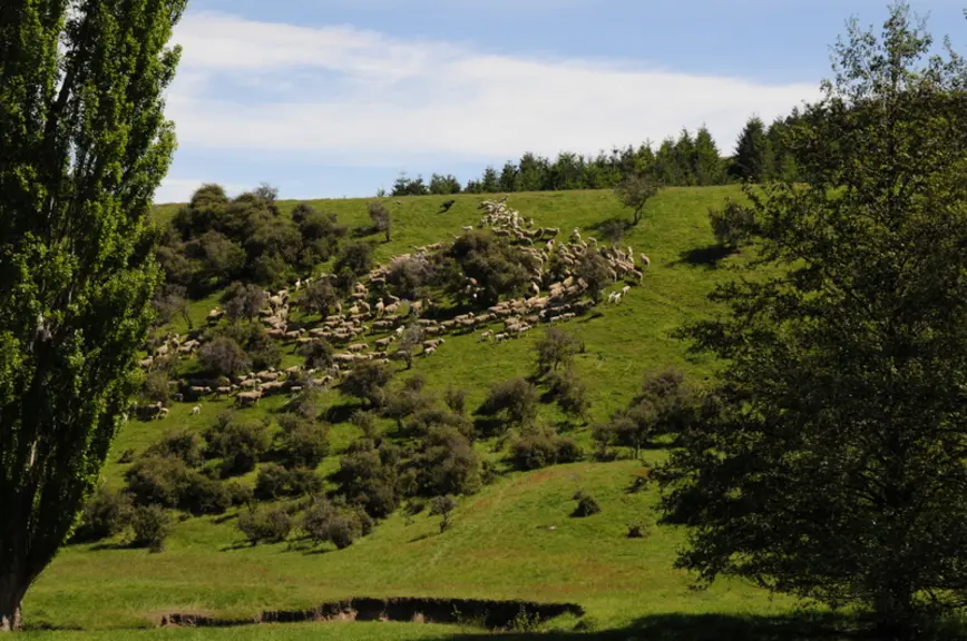 11 millions d'hectares de prairie: imaginez un champ qui recouvrirait la Bourgogne-Franche-Comté et l'Auvergne-Rhône-Alpes. © J. Baudoin