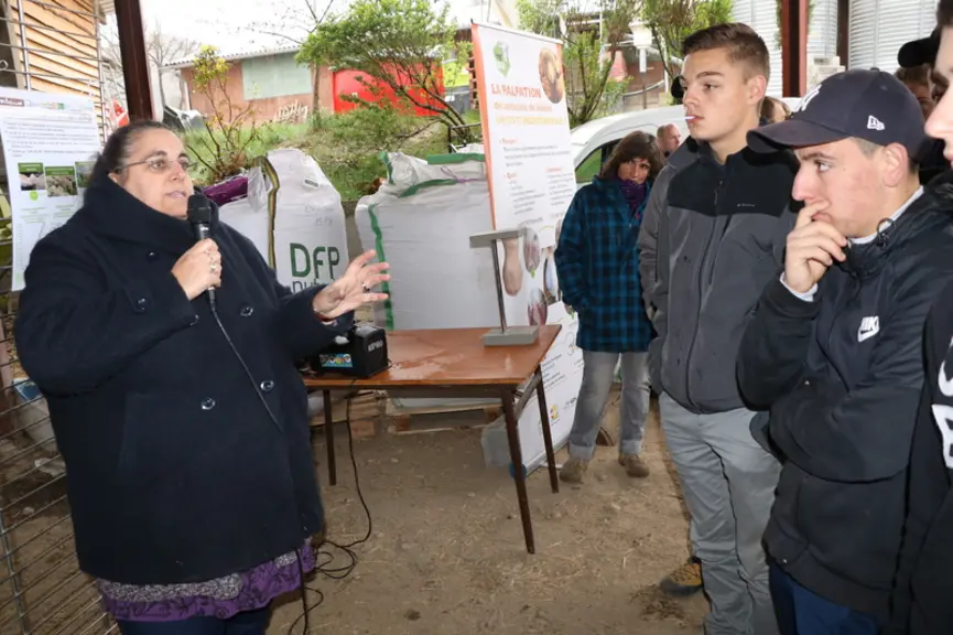 De nombreux jeunes, venus de plusieurs lycées agricoles, se sont montrés très intéressés par les ateliers techniques. © B. Morel