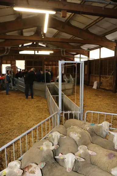 Les sept ateliers, traitant des sujets très variés, ont tous eu du succès auprès des participants. © B. Morel