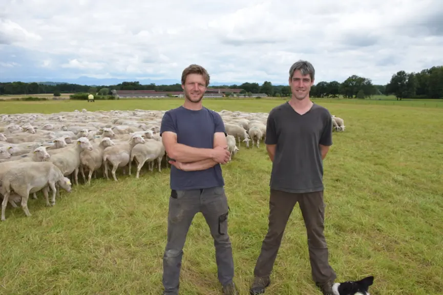 Thierry Orcière et Nicolas Honhon partagent les tâches du Gaec et se font confiance mutuellement. © D. Hardy