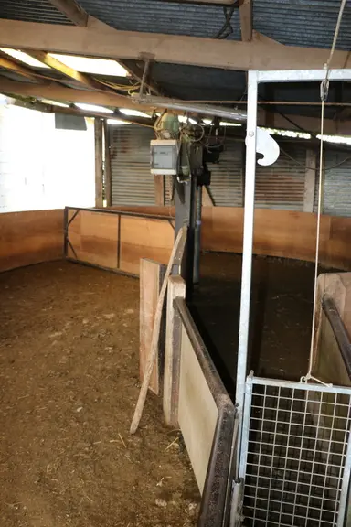 Le camembert peut contenir des lots de 200 brebis. Il peut être actionner à partir du moteur ou de l'extérieur, au niveau de la cage de retournement.