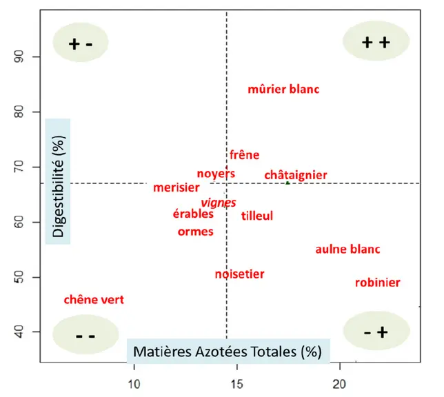 Teneur en MAT et digestibilité enzymatique de feuilles estivales  © Inra