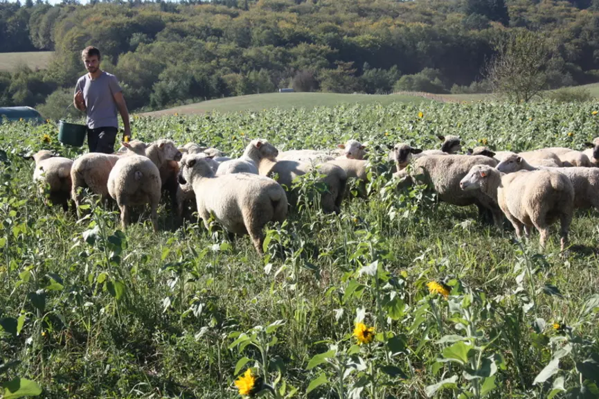 Mathieu Serieys du Gaec Fleuri : « nous sommes sur des terres acides qui ont besoin d’être amendées et des terres limoneuses, très sensibles à l’érosi