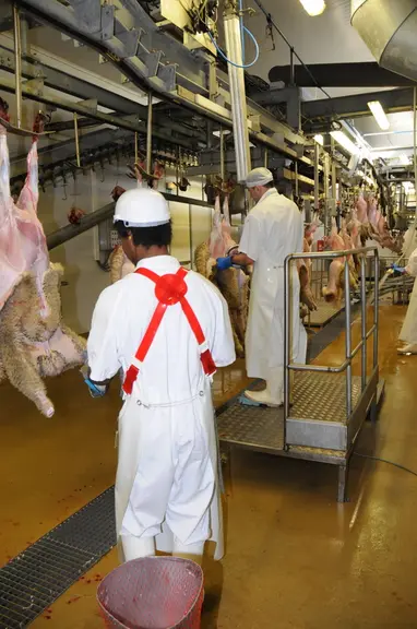 Avec le pacte, c'est l'ensemble de la filière ovine qui devra gagner en transparence car les consommateurs s'interrogent de plus en plus sur les prati