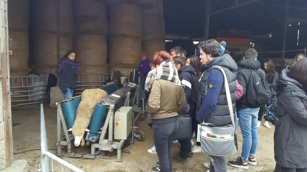 La journée a permis d’accueillir plus de 200 élèves, principalement des lycées agricoles de la région mais aussi d’un IUT d’agronomie et quelques futu