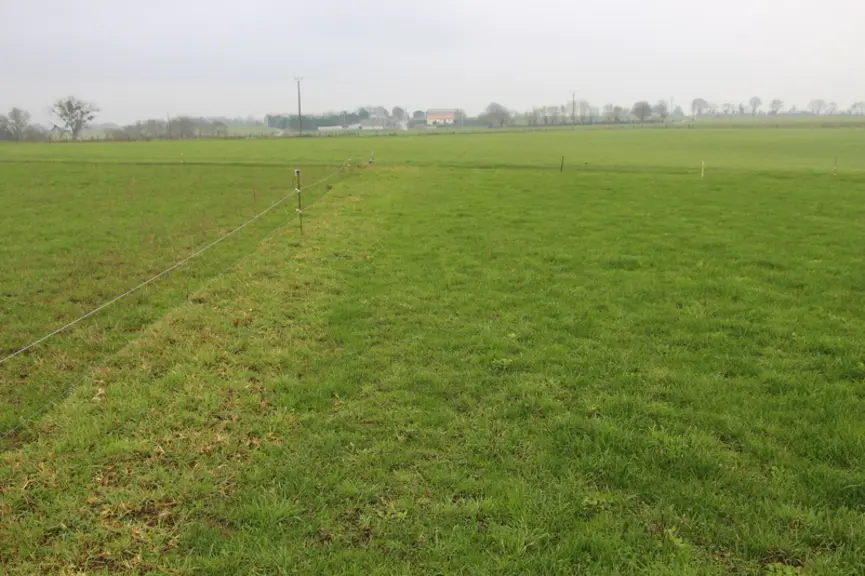 Les prairies temporaires étant toujours en bon état au bout de 5 ans, l’éleveur a décidé de prolonger leur durée de vie. © V. Bargain