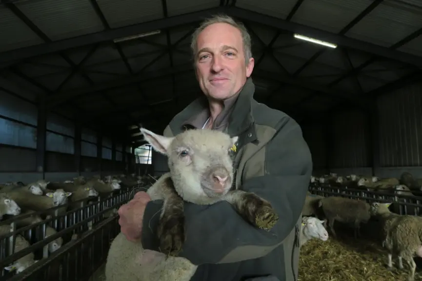 MICKAEL GIRAUD : "Il y a une vraie complémentarité entre troupe ovine et chataigneraie." © A. Lévêque
