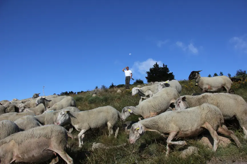 Pratiques les plus naturelles possible et des partenaires et fournisseurs locaux sont deux principes bien ancrés dans la volonté de Mickaël Giraud. ©