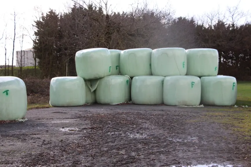 Christophe Lalloué essaie d’avoir toujours 3-4 mois de stock d’enrubannage d’avance en sortie d’hiver. © V. Bargain