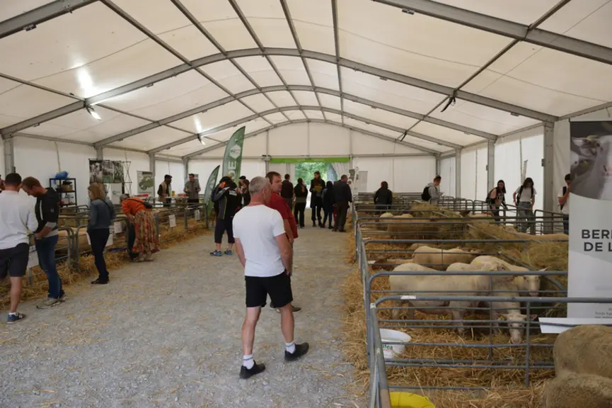 Le pôle génétique et race © D. Hardy