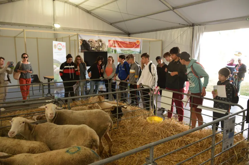 Les jeunes des lycées agricoles au pôle lait © D. Hardy