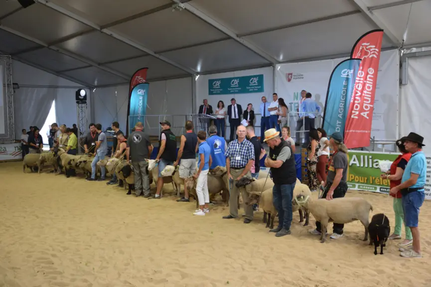 Inauguration de Tech-ovin 2019 © D. Hardy
