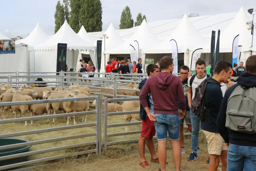 Tech-ovin 2019 © B. Morel