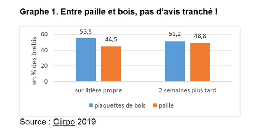 Entre paille et bois, pas d’avis tranché ! © Ciirpo 2019