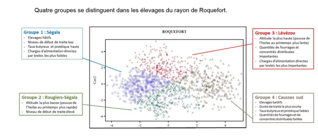 Quatre groupes se distinguent dans les élevages du rayon de Roquefort. © Idele
