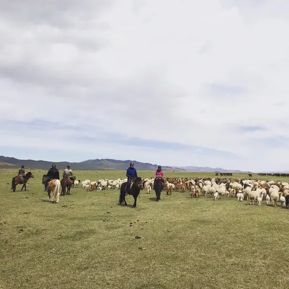 Notre mission est de pousser les troupeaux à cheval pour qu’ils aillent dans la bonne direction et qu’ils ne se dispersent pas. © M. Gontier