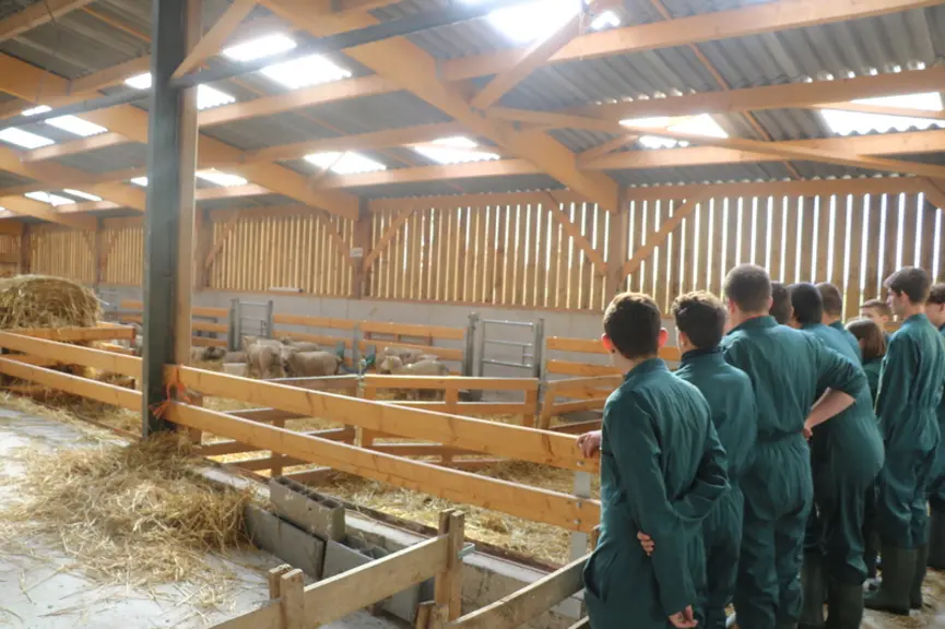 La nouvelle bergerie accueille la moitié des travaux pratiques des classes du lycée. © B. Morel