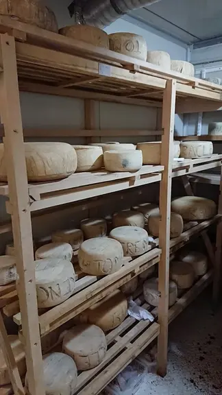 tommes et raclette dans la cave. © M. Jan et T. Quélen